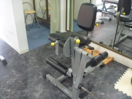 レッグエクステンション・レッグカール