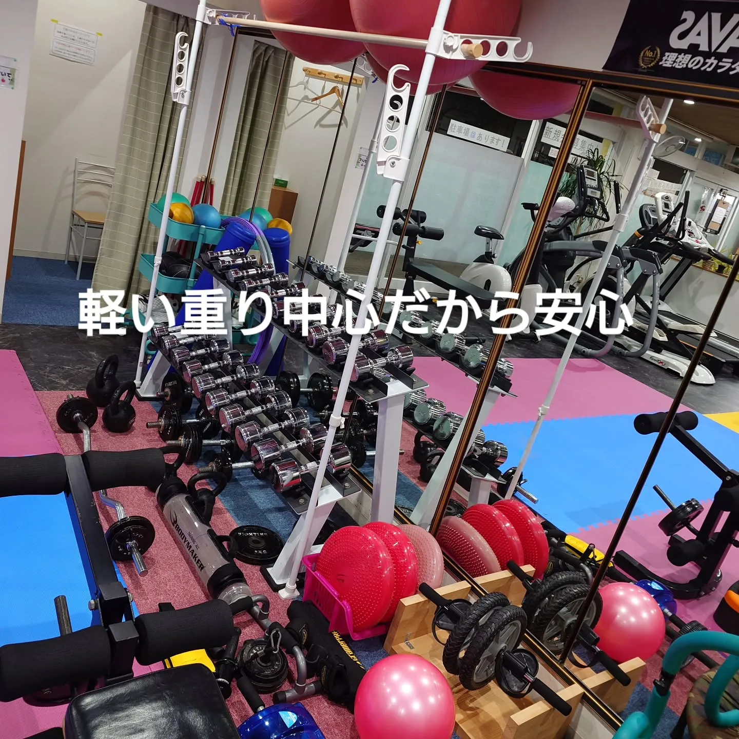 シニアや女性に大好評！