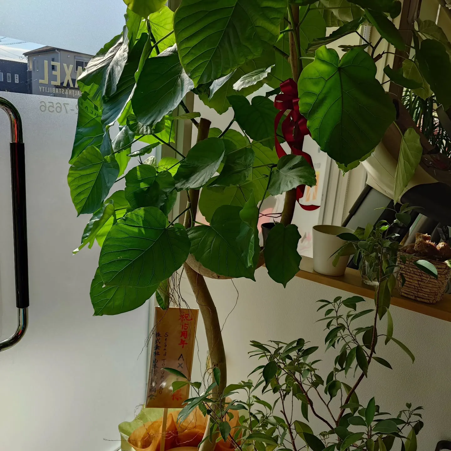 15周年を迎えました！