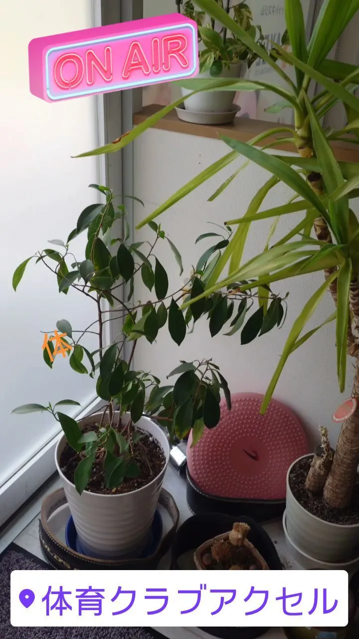 体験予約受付中！