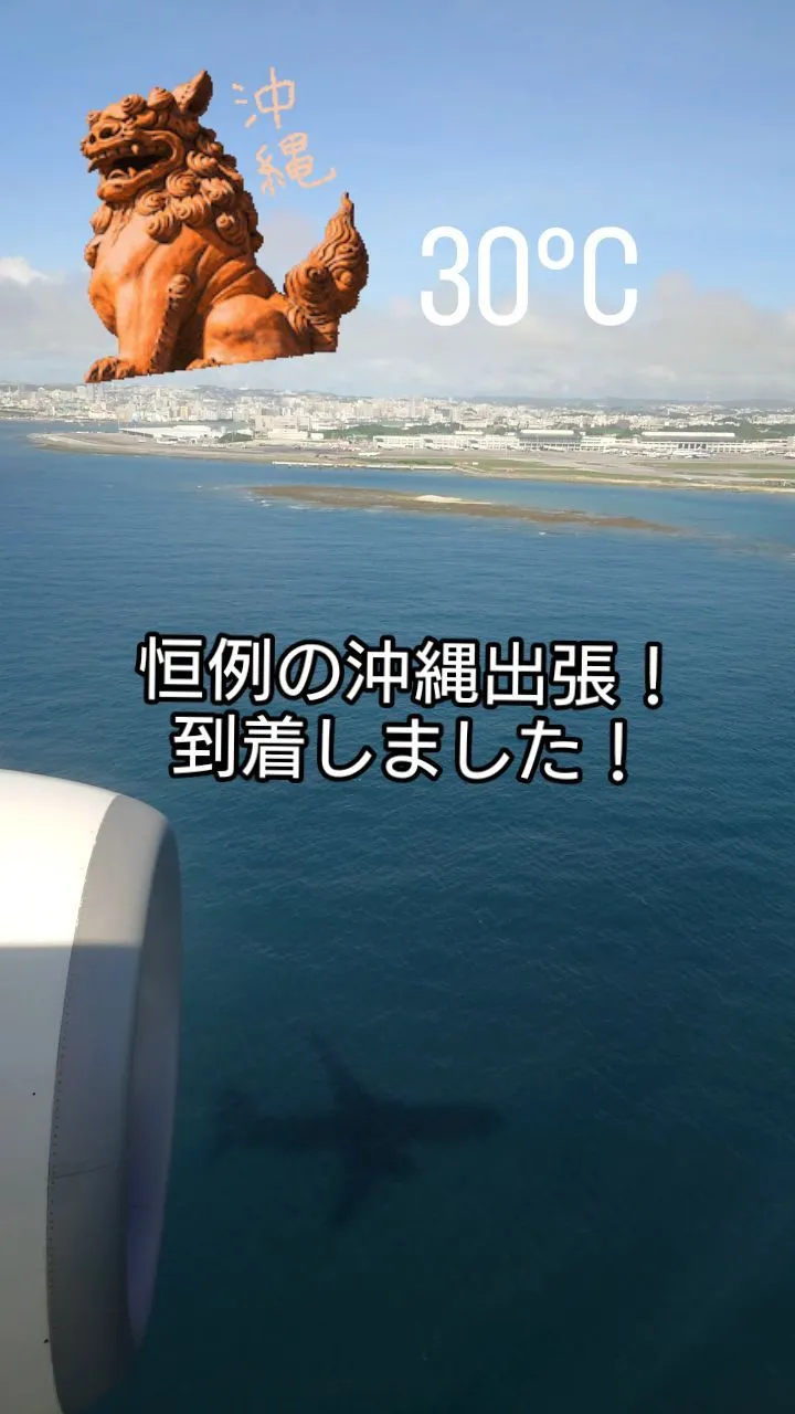 沖縄出張！